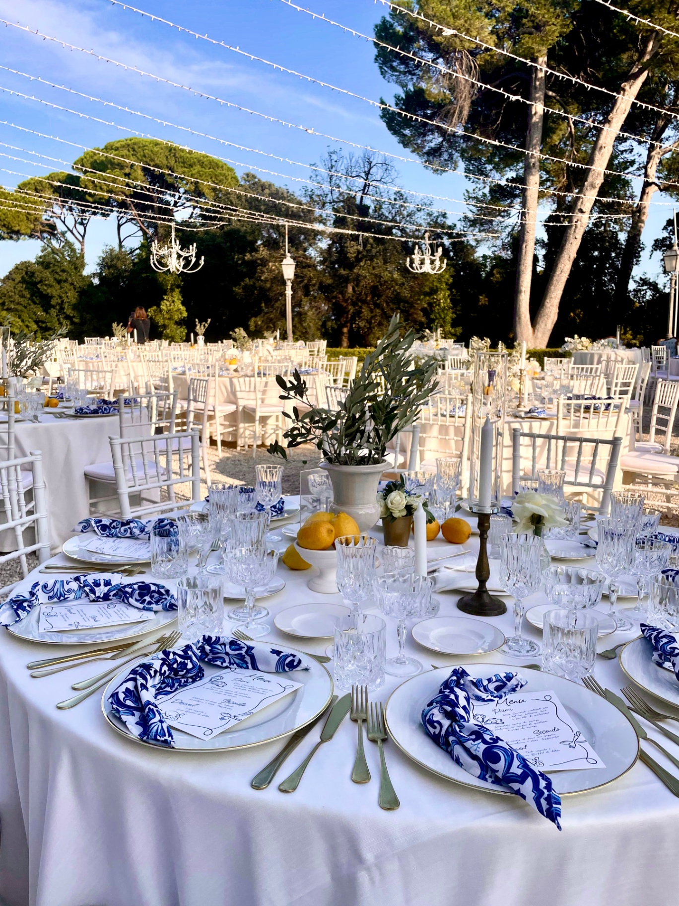 Tavolata con tovaglioli blu e limoni nel parco della villa